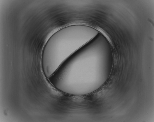 X0000094080861200710190916