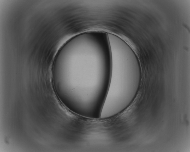 X0000094080862200710190916