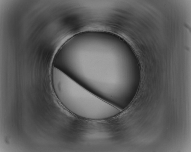 X0000094080864200710190916