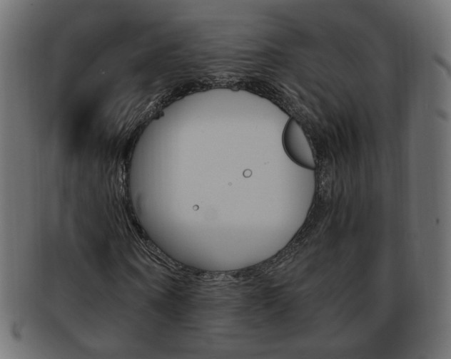 X0000094080866200710190915