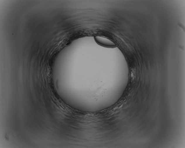 X0000094080867200710190915
