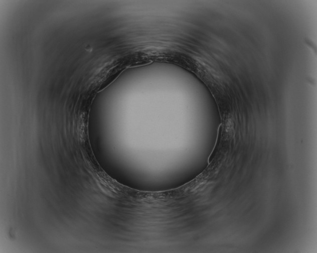 X0000094080868200710190915