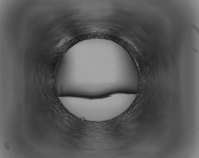 X0000094080869200710190915