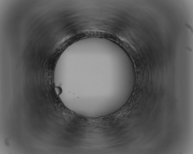 X0000094080870200710190915