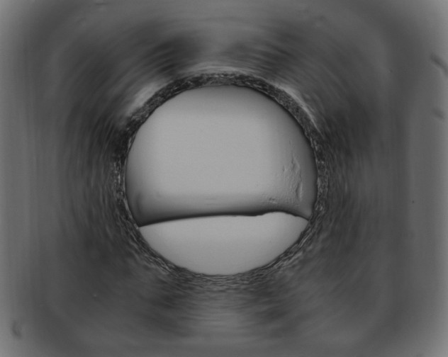 X0000094080871200710190915