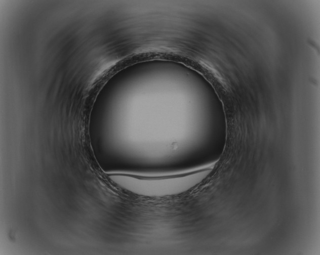 X0000094080872200710190915