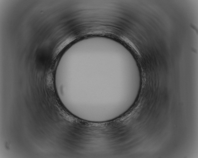 X0000094080874200710190915
