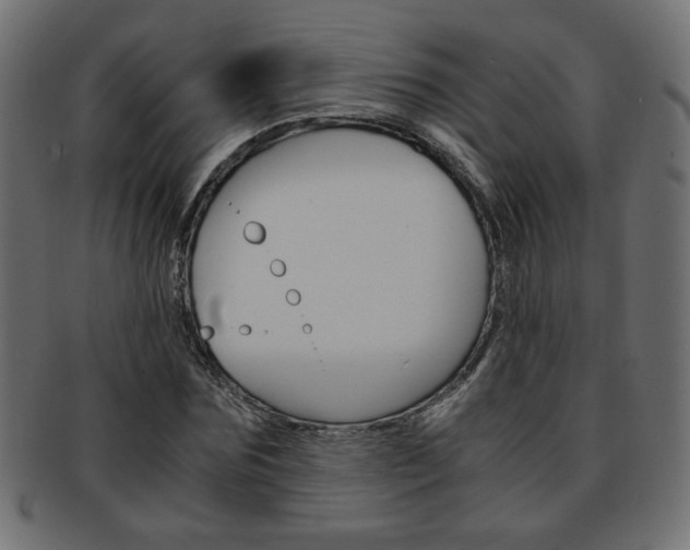 X0000094080875200710190915