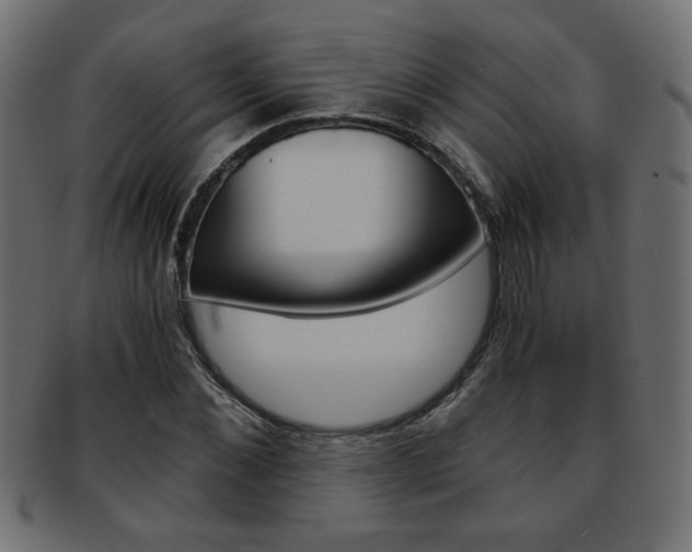 X0000094080876200710190915