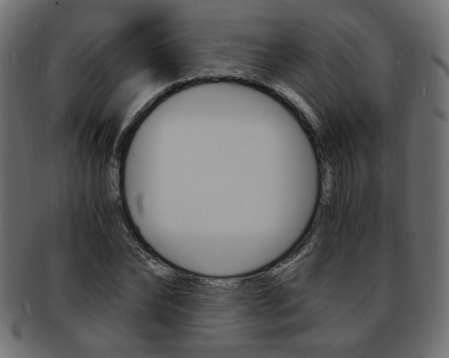 X0000094080878200710190915