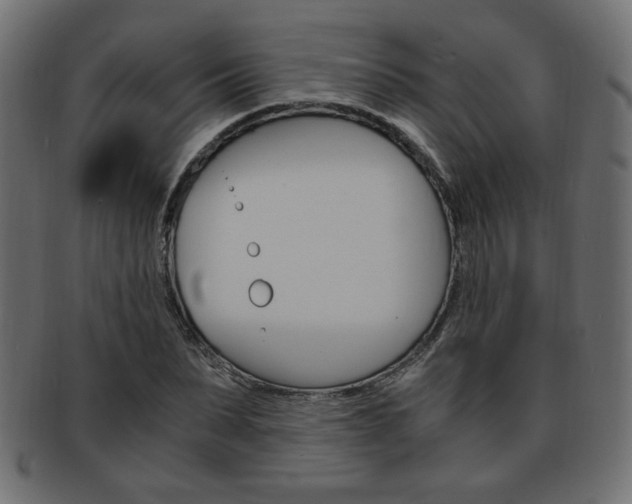 X0000094080879200710190915