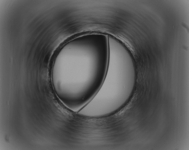 X0000094080880200710190915