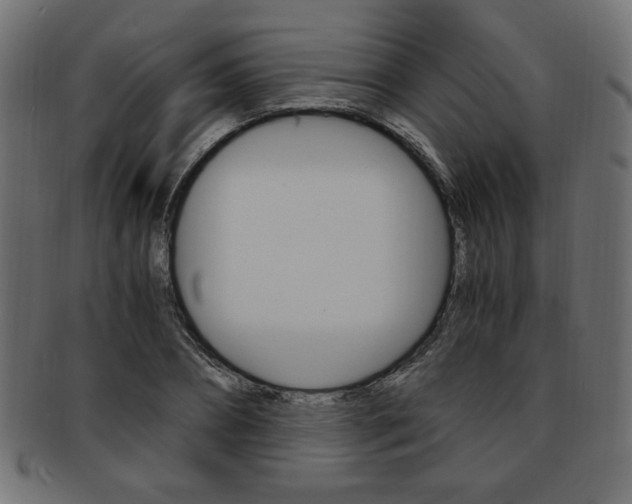X0000094080882200710190915