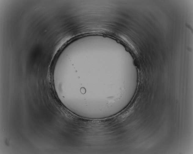 X0000094080883200710190915