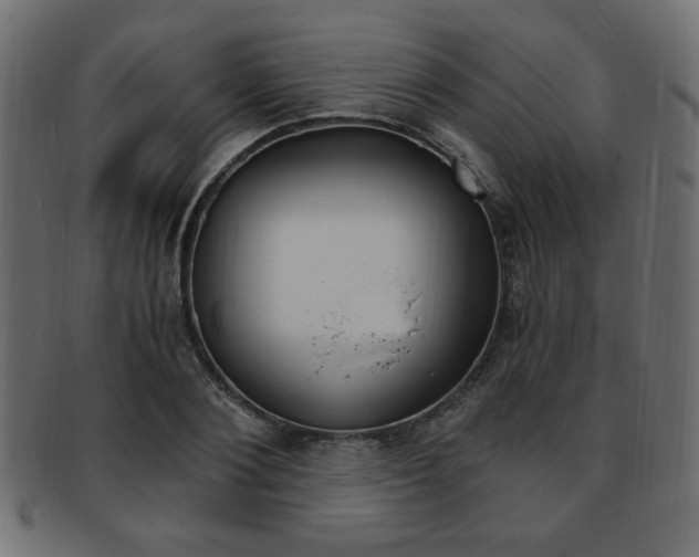 X0000094080884200710190915