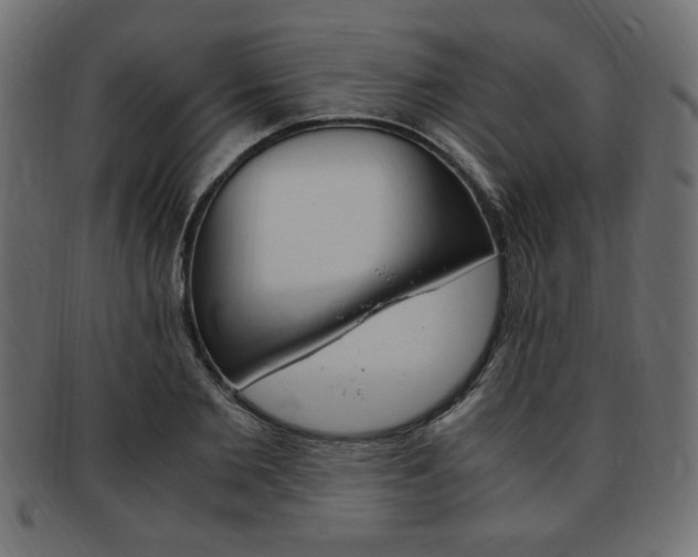 X0000094080885200710190915