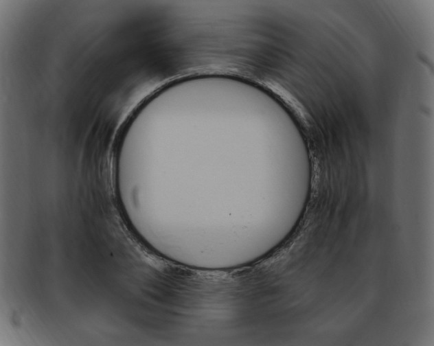X0000094080886200710190915