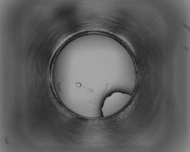 X0000094080887200710190915