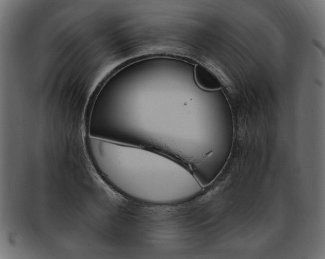 X0000094080888200710190915