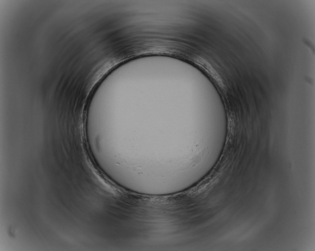 X0000094080890200710190915
