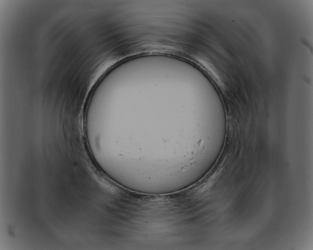 X0000094080891200710190915