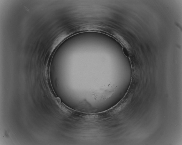 X0000094080893200710190915