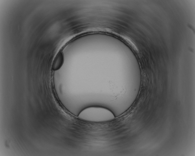 X0000094080895200710190915