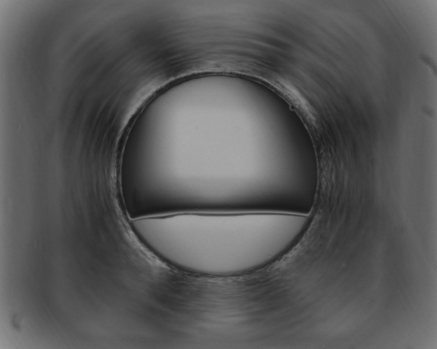 X0000094080896200710190915