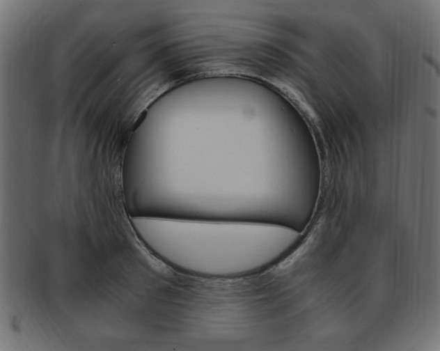 X0000094080897200710190915