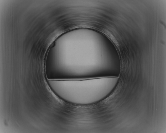X0000094080898200710190915