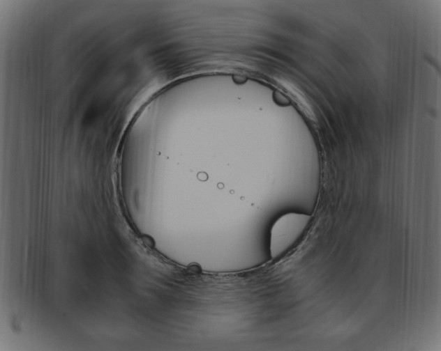 X0000094080899200710190915