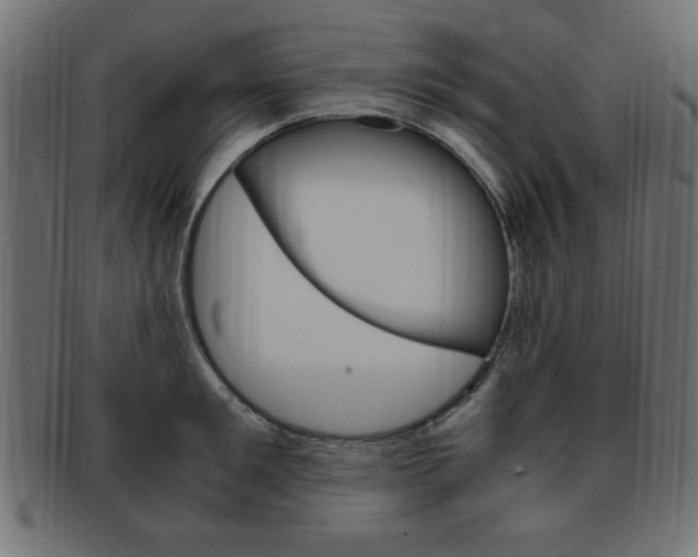 X0000094080901200710190915