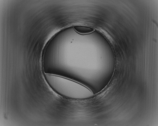 X0000094080902200710190915