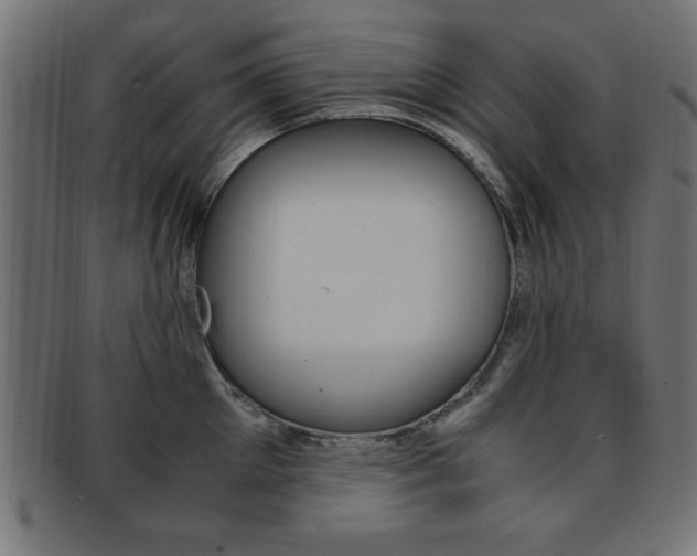 X0000094080905200710190915