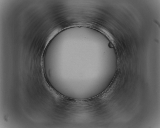 X0000094080907200710190915