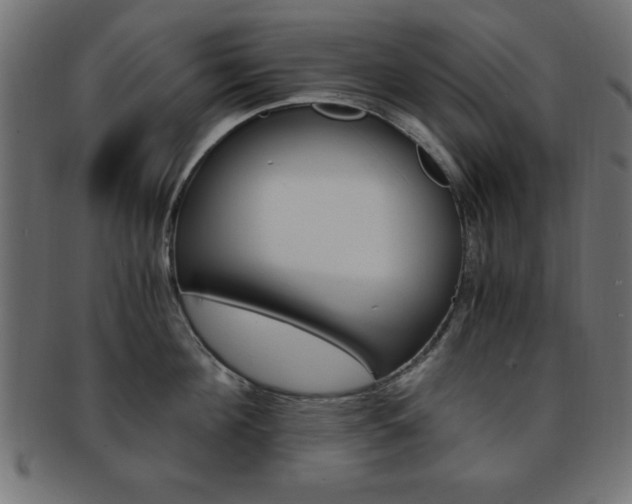 X0000094080908200710190915