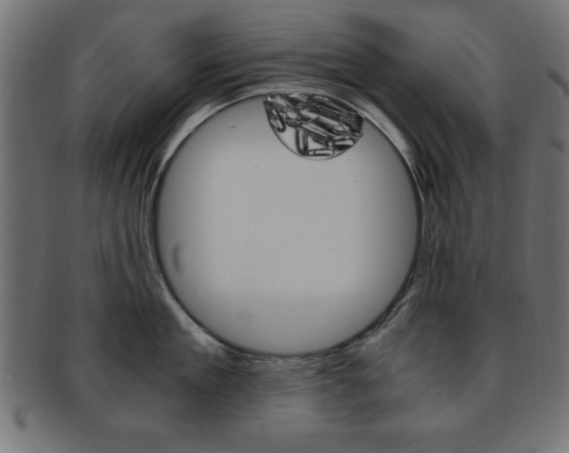 X0000094080909200710190915
