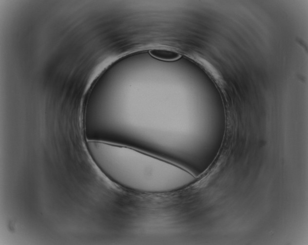 X0000094080910200710190915