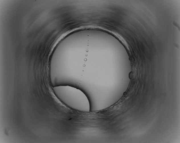 X0000094080911200710190915