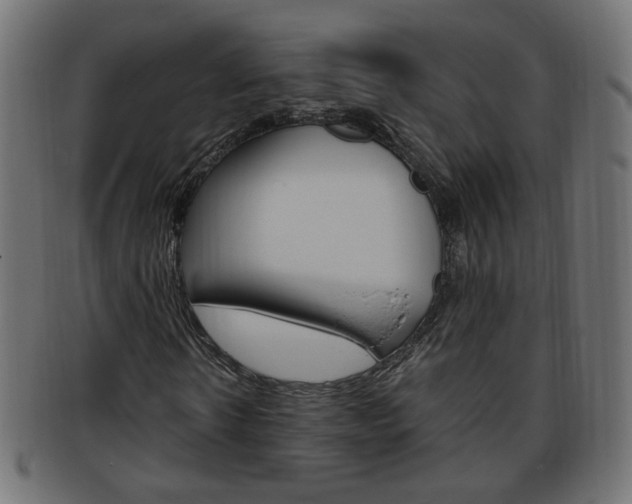 X0000094080914200710190914
