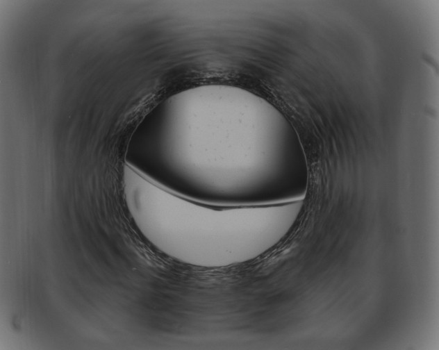 X0000094080916200710190914