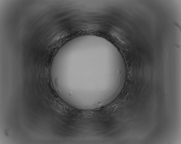 X0000094080917200710190914