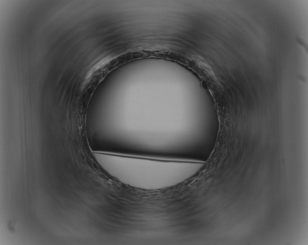 X0000094080920200710190914