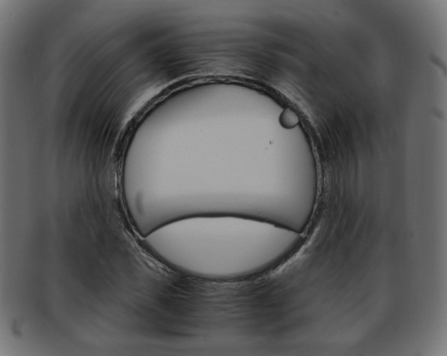 X0000094080925200710190914