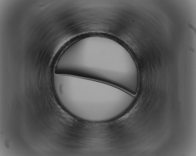 X0000094080926200710190914
