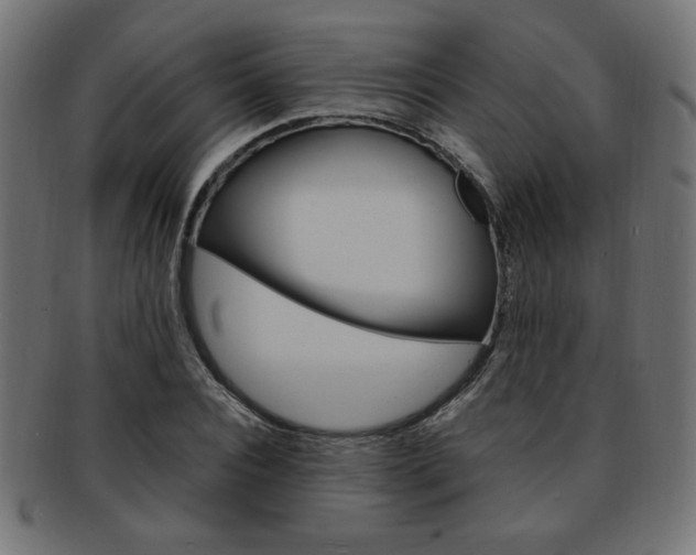 X0000094080928200710190914