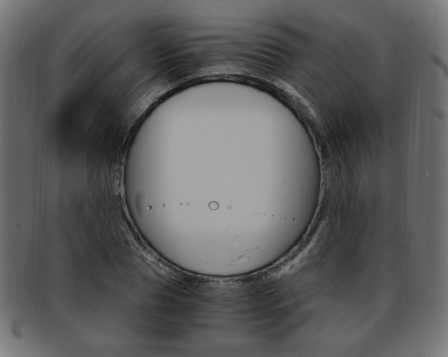 X0000094080929200710190914
