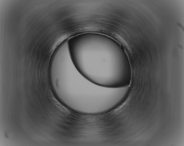 X0000094080930200710190914