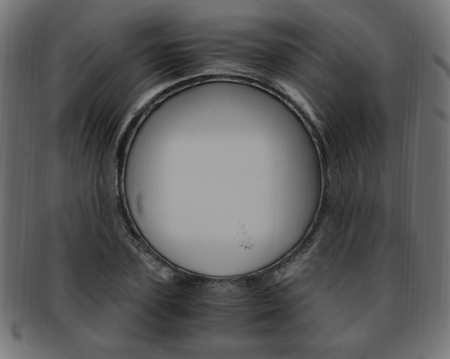 X0000094080931200710190914