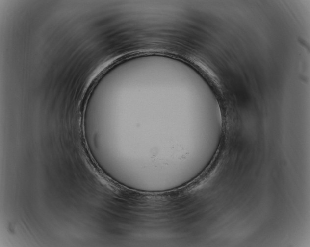 X0000094080933200710190914